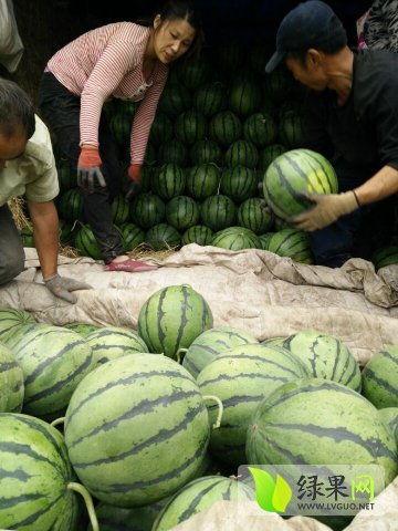 近期热门吃瓜事件医院