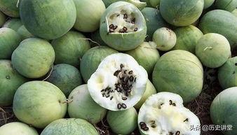 磕着瓜子吃瓜,品味生活百态