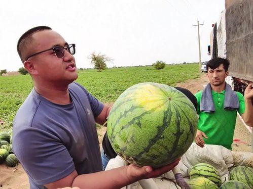 艾洛吃瓜现场,揭秘娱乐圈幕后风云