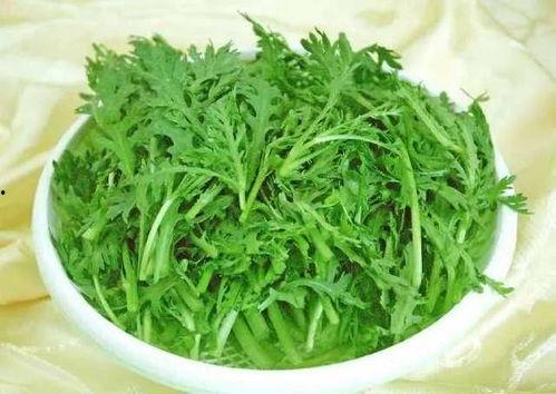 茼蒿妈吃羊角蜜瓜,揭秘羊角蜜瓜的诱人魅力