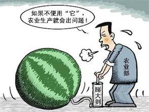 吃瓜导致食品中毒,揭秘食品中毒背后的惊人真相