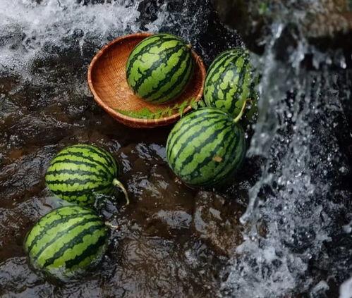 吃瓜密码最新,探寻娱乐圈幕后真相