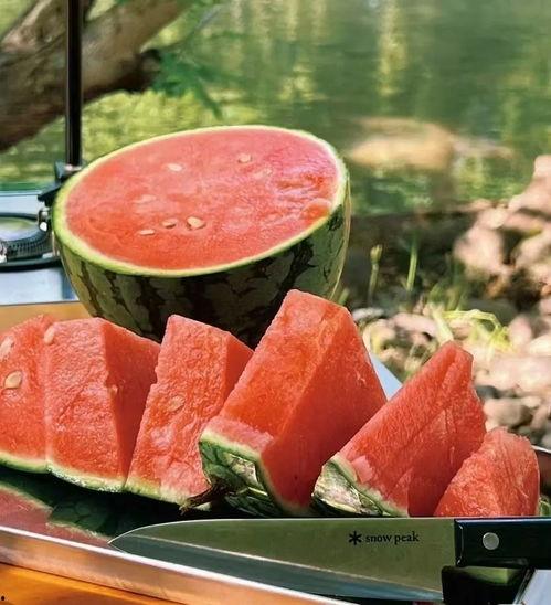 吃瓜密码最新,探寻娱乐圈幕后真相