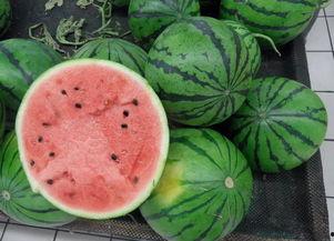 宁陵二高吃瓜,揭秘校园里的网络热议