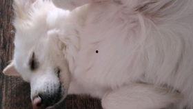 吃瓜的吵闹声,揭秘吃瓜群众的喧嚣世界