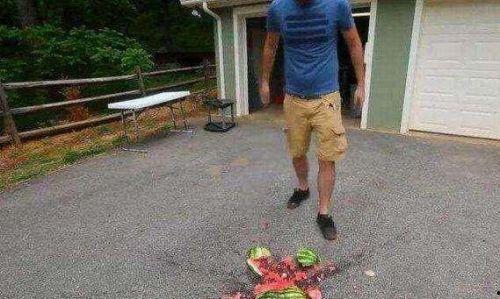 吃瓜翻车视频,揭秘网络视频背后的真相与反转