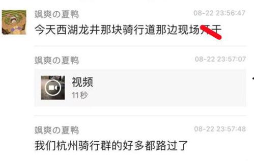 廊坊吃瓜爆料视频,一场引人入胜的社区风云录