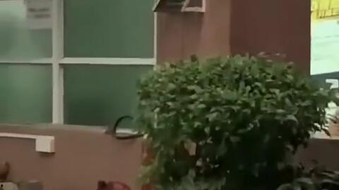 滕州近期吃瓜新闻