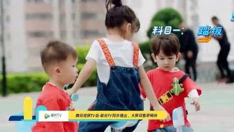 小板凳吃瓜姿势,揭秘夏日休闲新风尚