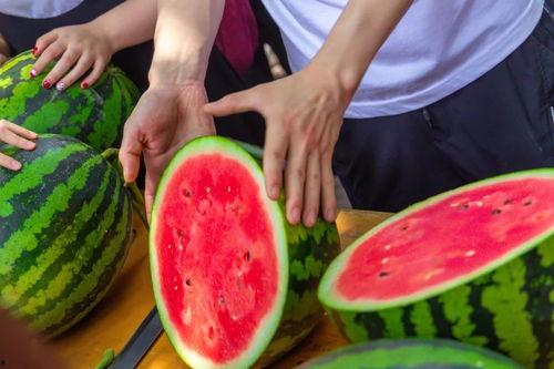 中职学校吃瓜,青春记忆中的甜蜜与苦涩