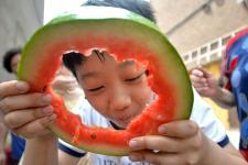 吃瓜少女邯郸,揭秘网络热点的幕后故事