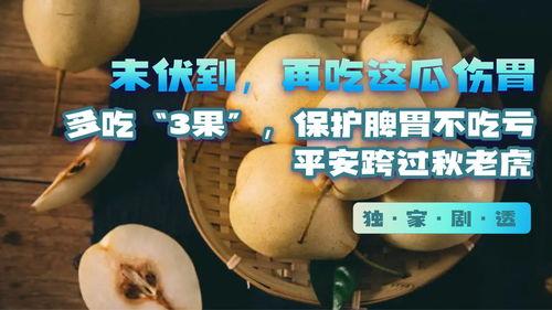 瓜吃太多的危害,过量食用瓜果的潜在危害解析