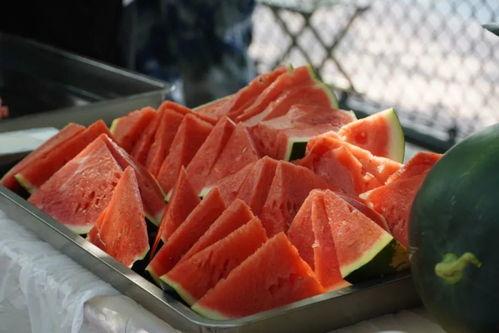 吃瓜的技术视频,跟随技术视频解锁美味秘诀