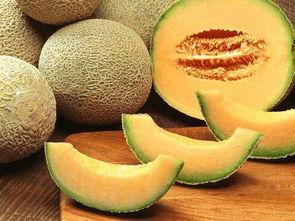 吃瓜的技术视频,跟随技术视频解锁美味秘诀