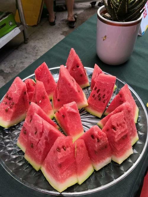 吃瓜重庆考试,一场别开生面的考试体验