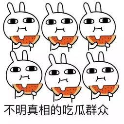 继续吃瓜中视频,揭秘网络视频背后的故事与真相