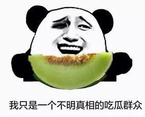 什么瓜吃不成,探寻美食界的禁忌与奇闻