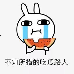 什么瓜吃不成,探寻美食界的禁忌与奇闻