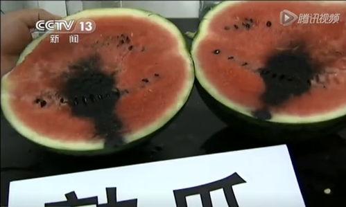 小飞瓜来了吃瓜视频,揭秘吃瓜视频背后的趣味与真相