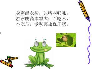 瓜地有只小青蛙青蛙吃瓜,小青蛙的瓜田美食之旅