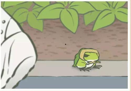 瓜地有只小青蛙青蛙吃瓜,小青蛙的瓜田美食之旅