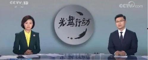 每天靠吃瓜活着赚钱,财富源源——揭秘吃瓜赚钱的奇妙生活