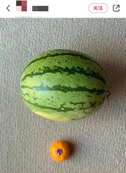 地球吃瓜球,宇宙中的吃瓜球之旅