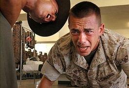 雷厉风行吃瓜,揭秘娱乐圈幕后风云