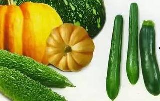 吃瓜群众摘杏,一场夏日里的甜蜜狂欢