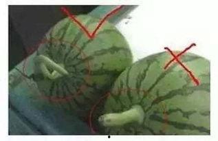 浙音吃瓜,揭秘校园热点事件背后的真相