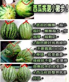 浙音吃瓜,揭秘校园热点事件背后的真相