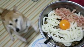 浙音吃瓜,揭秘校园热点事件背后的真相