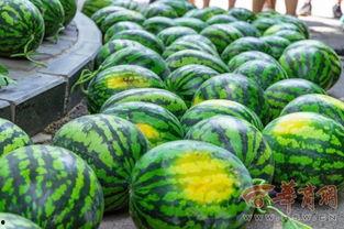 大哪吃瓜网,网络舆论风向标背后的故事