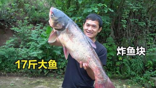 刘头吃瓜,揭秘娱乐圈幕后故事