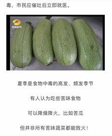 吃瓜湖南医卫,探寻地方特色美食与健康生活之道