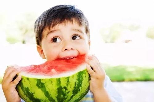 吃瓜湖南医卫,探寻地方特色美食与健康生活之道