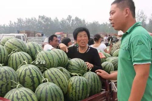 定陶区吃瓜,品味民俗,畅享清凉