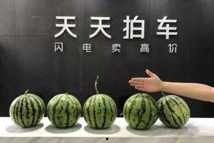 云南话打车吃瓜,云南话版“打车吃瓜”趣事